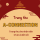 Trung thu tại A-Connection: Trung thu cho nhân viên, tri ân và kết nối