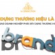 Xây dựng thương hiệu là gì? Tại sao doanh nghiệp phải xây dựng thương hiệu?