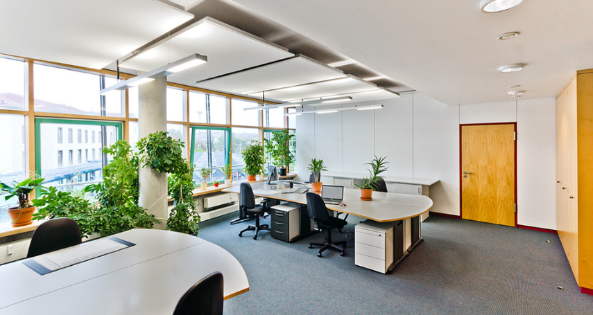 A-connection - Không gian văn phòng xanh với thiết kế thân thiện môi trường và ánh sáng tự nhiên